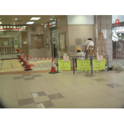 宠物美容用品与家居服务 打造洁净舒适的生活空间